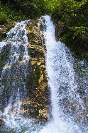 Wild river in the forestの写真素材