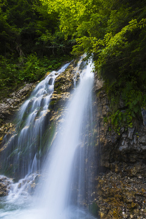 Wild waterfallの写真素材