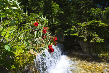Wild riverの写真素材