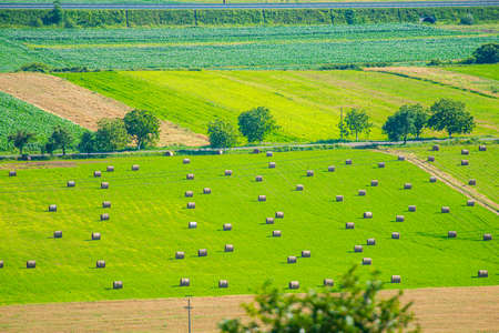 Summer landscape view from the hill