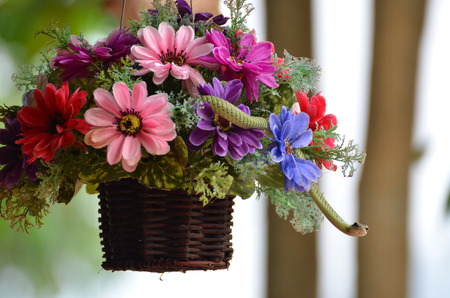 Snakeの写真素材