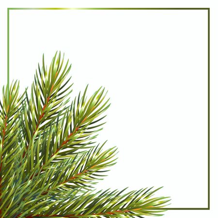 Card with lush branches on white background.Isolated on white background. Christmas vector illustration. vectorの写真素材