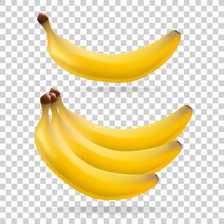 Banana on transparent background. Fruit. Vegetarianism. Vector illustrationのイラスト素材