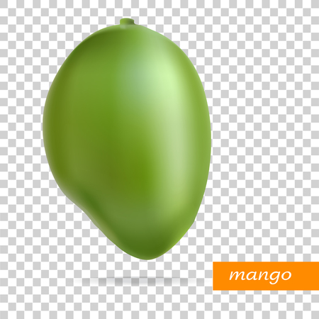 Mango. Fruit. Vegetarianism. Vector illustrationの写真素材