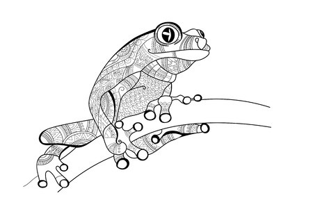 Frog on the branch. Doodle for coloring. Vector.のイラスト素材