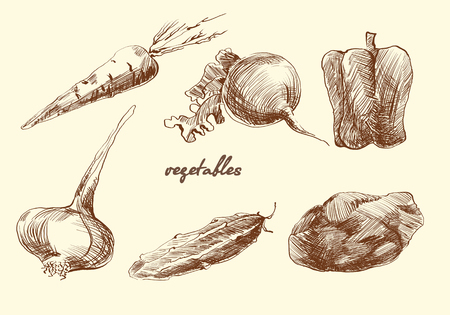 set of vegetables. Sketch. Pencil drawing. Vectorのイラスト素材