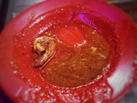 tomato stewed in tomato sauce on wooden table. Toned.の写真素材
