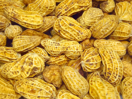 peanut background, close up of peanuts in the shell, textureの写真素材