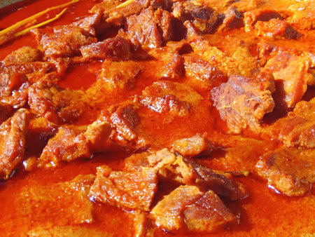 Pork stewed in tomato sauce, close-up, horizontalの写真素材