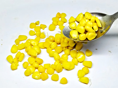 Canned corn on a spoon on a white background close-upの写真素材