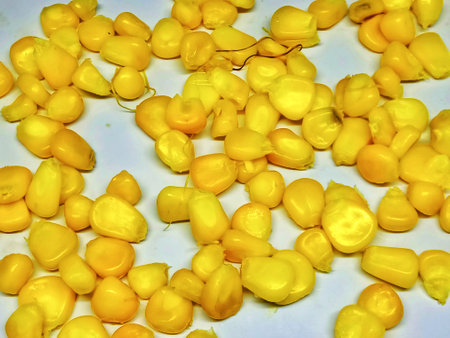 yellow corn seeds on a white background, yellow corn seeds close-upの写真素材