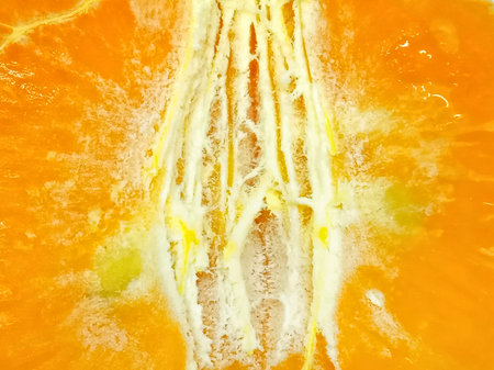 Close up of a slice of tangerine as a background.の写真素材