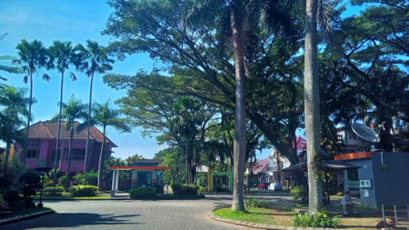 A peaceful street scene with lush trees, used for urban planning, travel promotion, or landscaping...