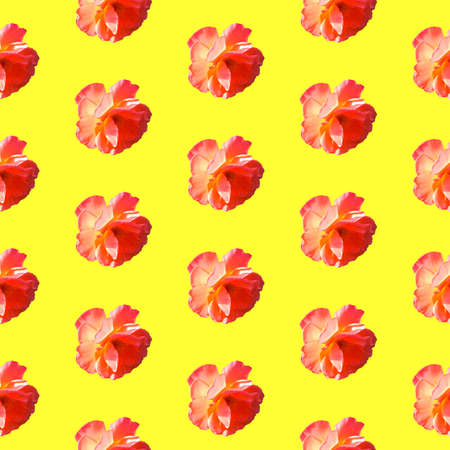 Seamless pattern with roses on a yellow background. Flat lay, top view. Pop art creative design for...
