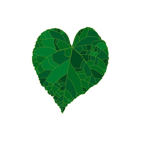 Green silhouette linden leaf in a shape of a heart isolated on white background. Design element for decorating.のイラスト素材