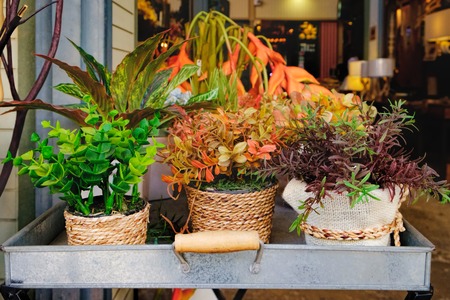 Artificial flowers in a metal box on a city street of Bangkok, Thailand. Colorful flowers in vintage pots decorated with canvas and thick threadの写真素材