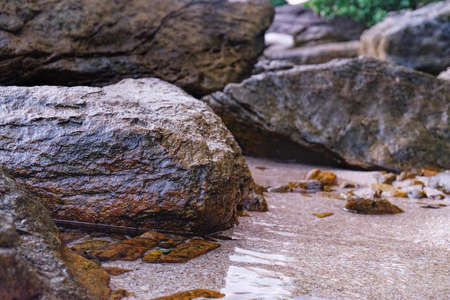 Close up of rocky shore texture background. Stones, Rocks, Sand on sunset time. Selective focusの写真素材