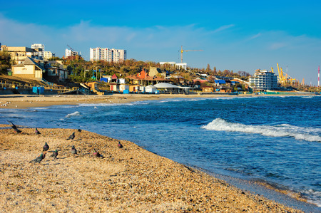 A flock of pigeons on the sand near the breaking waves. Coast of the Black Sea in Chornomorsk,...