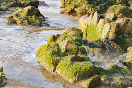 Coast of the Andaman Sea with sea and rock in Nang Thong Beach, Khao Lak, Thailand. Rapid flow of water through the rocks covered with algae. Nature compositionの写真素材