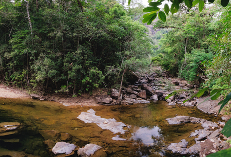Small mountain stream in the shade of the tropical forest with snag tree in the foreground, Mu Koh Chang National Park, Chang island, Thailand. Path to the Khlong Phlu waterfall. Natural background.の写真素材