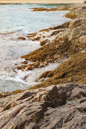 Coast of the Andaman Sea with sea and rock in Nang Thong Beach, Khao Lak, Thailand. Wave rolling to shore through the rocks covered with algae. Nature compositionの写真素材