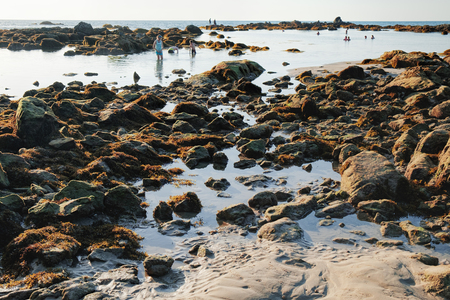 Khao Lak, Thailand - December 28, 2015: Nang Thong Beach at low tide in Khao Lak, Thailand. View of evening blue sea with protruding stones and rocky beach with bathing and walking peopleのeditorial素材