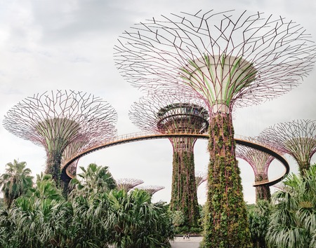 Singapore, Singapore - January 16, 2018: Twilight view of Gardens by the Bay at sunset, Supertrees on the horizon, Singapore.のeditorial素材