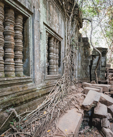 The roots of old tropical trees covered stone wall of Beng Melea Temple on the outskirts of Angkor...