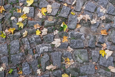 Top view of a cobblestone road with fallen autumn leaves. Abstract autumn background of old circular pattern pavementの写真素材