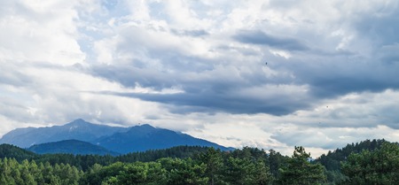 A typical natural landscape in the country of Brasov: green forest and mountains on the horizon...