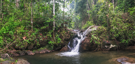 Beautiful waterfall in deep forest at Khao Lak-Lam Ru National Park, Phang-nga, Thailand.の写真素材