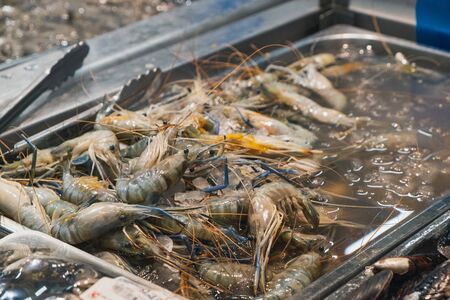 Fresh raw shrimps for sale at the seafood and fish market in Thailand. Food ingredients.の写真素材