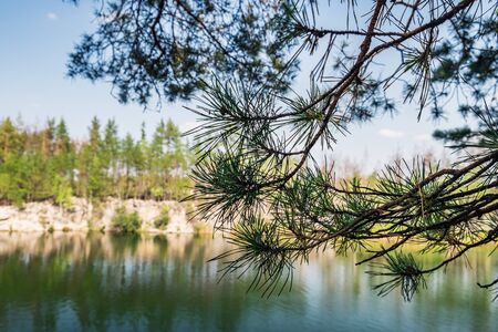 Picturesque landscape with a lake in the middle of a coniferous forest in Korostyshiv quarry, Zhytomyr district, northern Ukraine. Branches of pine overhanging lake in the foregroundの写真素材