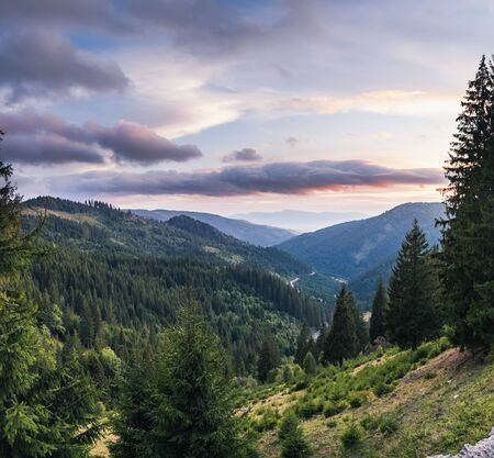 Summer Mountains landscape in Transilvania, Romania. Distant mountain range and thin layer of fog on valleys. Panoramic view of coniferous forest on hillsides in Eastern Carpathians at sunset.の写真素材