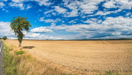 Agriculture and typical natural farmland landscape: yellow agricultural field and lonely apple tree by road. Daytime panoramic countryside view under blue cloudy sky in Bohemia, Czech Republic, Europeの写真素材