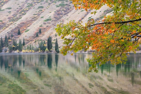 Autumn branches on background of mountain lakeの写真素材
