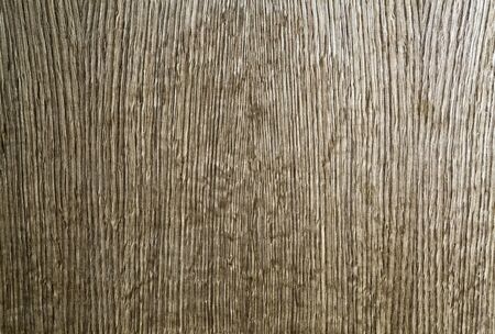 texture of oakの写真素材