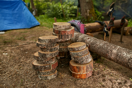 Birch firewoodの写真素材