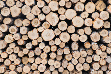 log wallsの写真素材