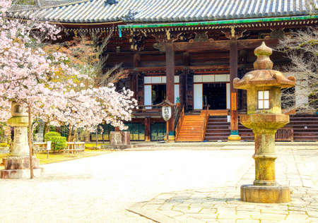 Spring scenery of Shin nyodo, Kyotoのeditorial素材