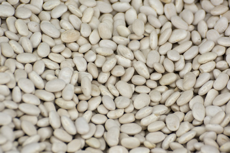 White Beans Background