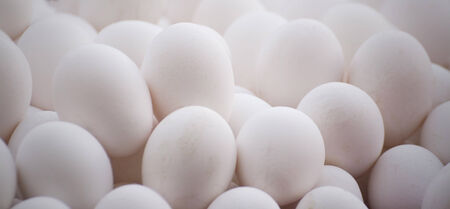 White eggs