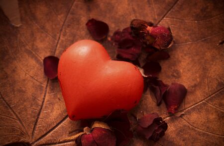 Beautiful Romantic heart  with Rosesの写真素材