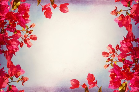 Blank Flower Frameの写真素材