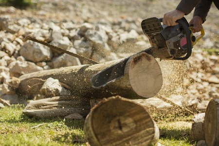 Man sawing a log in his back yard.の写真素材