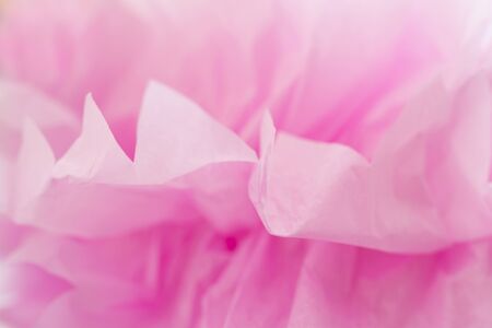 Pink Backgroundの写真素材