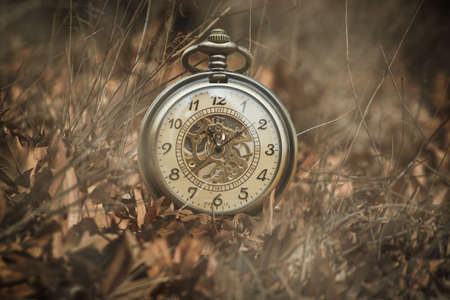 A pocket watch on leavesの写真素材