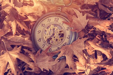 Pocket watch on leaves