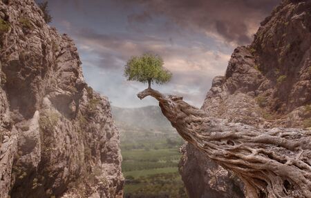 fantasy mystic mountain landscape