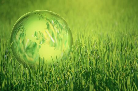 Globe lies on green grass.の写真素材